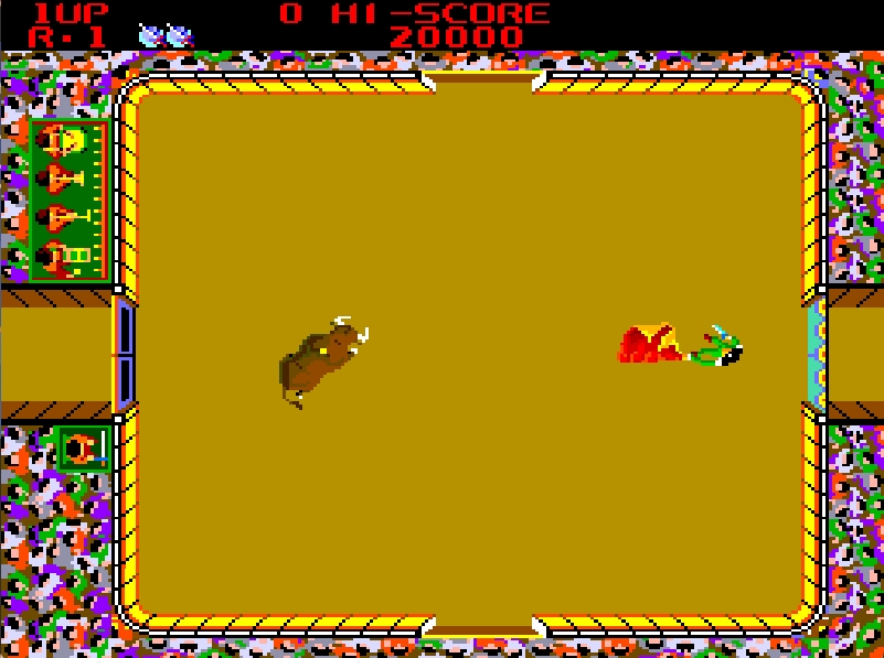 Bull Fight
